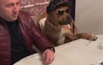 Köpeği Kumara Alıştıran Yurdum İnsanı