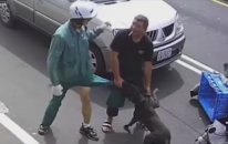 Postacıya Saldıran Pitbull