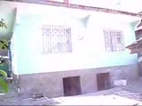 ankara takla güvercin