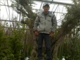 Biraz Sevemedin Beni