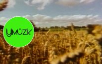 Rıza Memduhoğlu - Ey Gönül Bakma Cihana