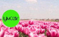 Yaşar Kapkara - Aşkın İle Aşıklar