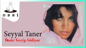 Seyyal Taner - Omur Gecip Gidiyor