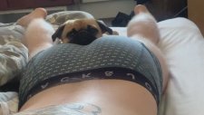 Köpeğinin Ağzına Osurmak