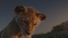 Lion King -