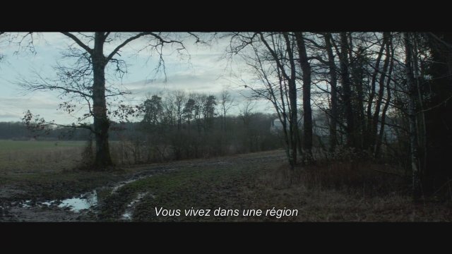 Particles / Les Particules (2019) Fransızca Fragman