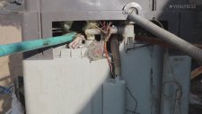 Çamaşır Makinesinden Çıkan Piton Yılanı