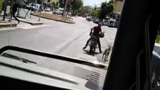 Köpeğe Eziyet Ettiği İçin Dayak Yiyen Suriyeli