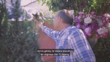 Öykü, Cep Hikayesi, Cep Belgeseli,
