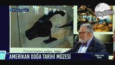 Hiç Dinozor Sesi Duydunuz mu? (Celal Şengör)