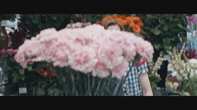  Mowa ptaków (2019) Fragman