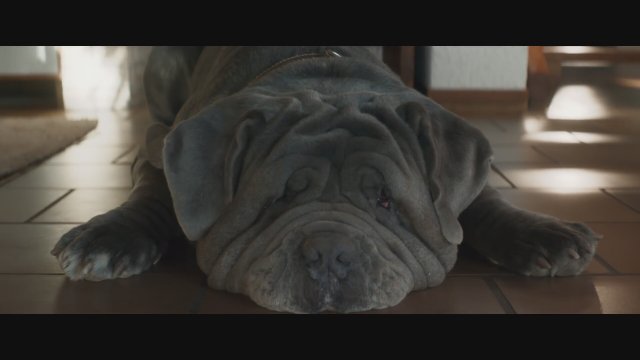 Mon chien stupide (2019) Fragman