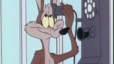 Road Runner'da Çakalın Tüm Patlamaları