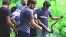 Kuyuya Düşen Piton Yılanını Kurtarma Operasyonu