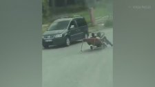 Kağıt Toplayan Çocukların Arabalarıyla Bayır Aşağı Yardırması