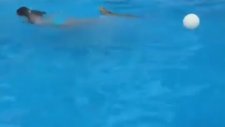 Havuz Başında Birbiriyle Kapışan İki İguana