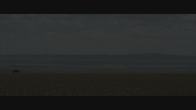The Steed (2019) Fragman
