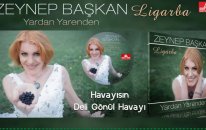 Zeynep Başkan - Havayısın Deli Gönül Havayı