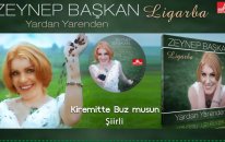 Zeynep Başkan - Kiremitte Buz musun
