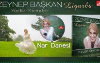 Zeynep Başkan - Nar Danesi