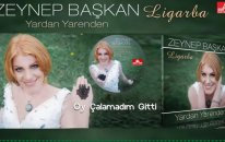 Zeynep Başkan - Oy Çalamadım Gitti