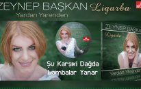 Zeynep Başkan - Şu Karşı ki Dağda Lambalar Yanar