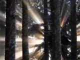 Seyfullah Kartal-Siyah Gözlerine Benide Götür