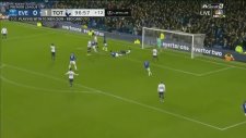 Cenk Tosun'un Tottenham'a Attığı Gol