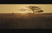 CONGO Official Trailer (2019) Crime, Drama Movie