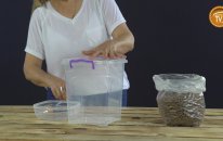 sokak hayvanları için mama kabı