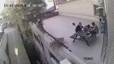 Kuş Uğruna Terastan Uçan Kedi