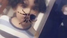 Snapchat'in Örümcek Filtresi ile Çocuğunu Korkutan Anne