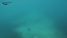 Kız Kulesi'nin Altına Dalış Yapmak