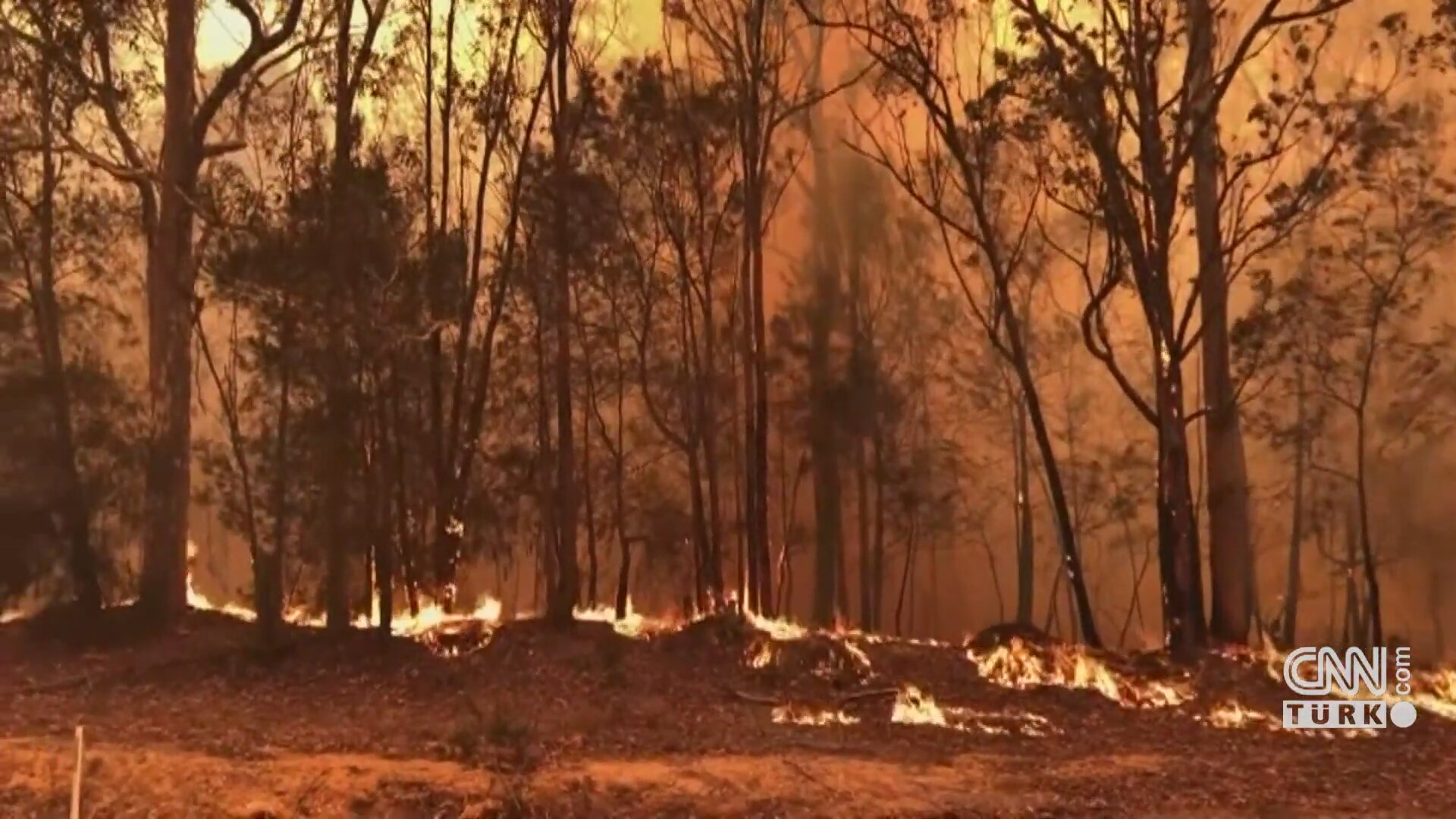 #avustralya yangın son durum canlı yayın üzerinde etiket ...