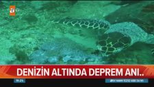 Denizin Altında Deprem Anı