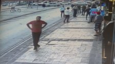 Kediye Saldıran Alman Kurdu