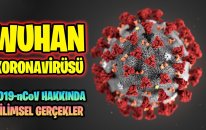 Wuhan Koronavirüs Salgını (2019-nCoV) Hakkında Bilimsel Gerçekler!