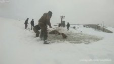 Buz Tutan Göle Düşen Atları Kurtarmak