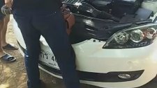 Arabanın Motorundan Çıkan Kral Kobra