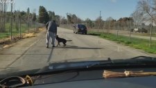 Köpeğini Terk Eden Vicdansız Sahibi