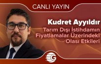 Tarım Dışı İstihdamın Fiyatlamalar Üzerindeki Olası Etkileri - 03 Nisan 2020