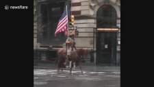 New York Sokaklarında Atla Gezen Adam