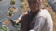 Anlatımıyla Spikerlere Taş Çıkartan Teyze