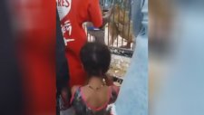 Elini Kafesteki Aslana Kaptıran Adam