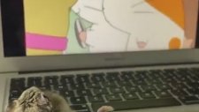 Hamster'e Sinema Şöleni