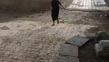 Kobrayı Doğaya Salan Hayvansever Hintli Nine