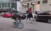 Polisin Atını Kaçıran Eylemci