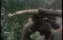 Vietnam Savaşında Pusuya Düşen Amerikan Birliği (1970)