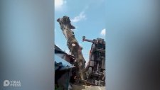 Amuda Kalkan Vinç