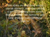 çulluk